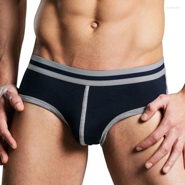 Sous-vêtements pour hommes, sous-vêtements en coton, sexy, taille gay, modal, convexe, doux