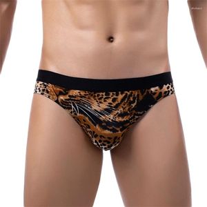 Sous-vêtements pour hommes, sous-vêtements imprimés, culotte Triangle, léopard, serpent, tigre, Sexy, taille basse, Canzoncillos Hombre