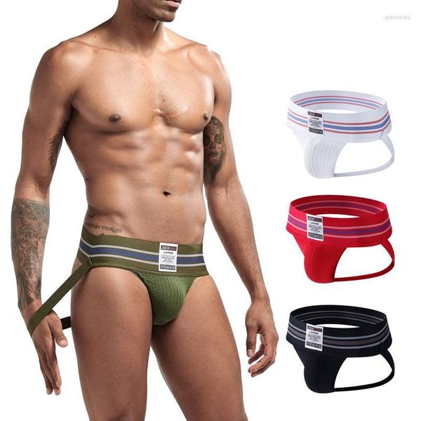 Sous-vêtements Ceinture profilée pour hommes Jockstrap Supporters athlétiques Coton Plusieurs couleurs Taille basse Stretch Performance Sport Gym