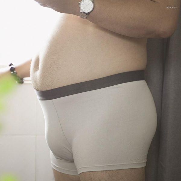 Calzoncillos Boxers de algodón para hombres Calzoncillos Lencería sexy Oso gordito Tamaño grande Moda Ropa interior en forma de U Color sólido