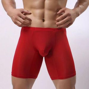 Caleçon Homme Maille Élastique Respirant Sexy Mince Sous-Vêtements Transparent Boxer Slip Mince Solide Homme Boxershorts