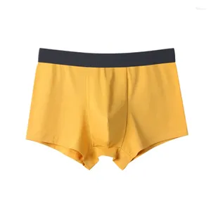 Sous-vêtements pour hommes, ceinture élastique en coton, Section verticale Simple, respirant, doux pour la peau, Boxer à Double entrejambe