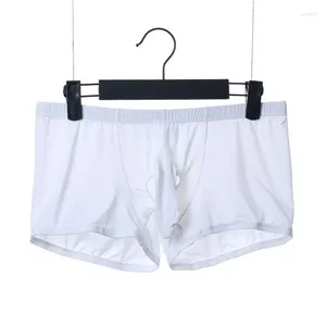 Sous-vêtements hommes glace soie pénis sous-vêtements gay éléphant nez boxer shorts sex-appeal trou convexe oeuf érotique homme tronc