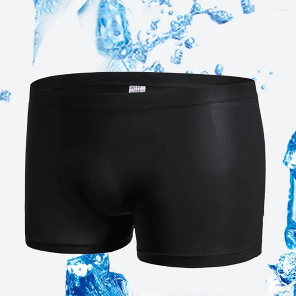 Sous-caisse Boxer Silk Silk Men's Silk Sous-vêtements Sexy Breeptable Transparent Briets Boxershorts Swimming Trunks