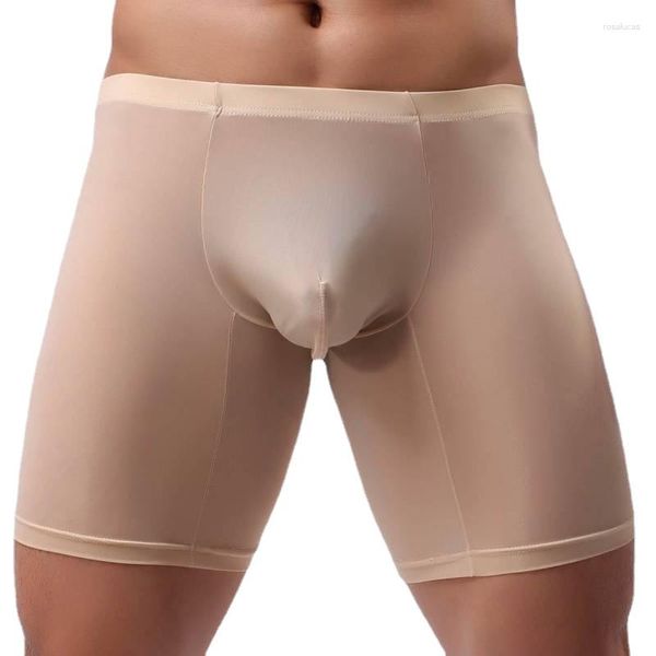 Onderbroek mannen Lange Boxer Ondergoed Mannen Slipje Mannelijke Sexy Ultra-dunne Doorschijnende Ardennen Penis Pouch Gay Boxershorts Benen