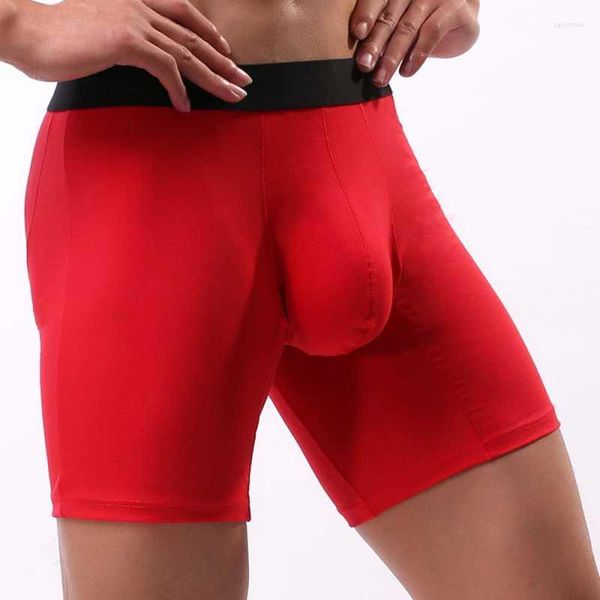 Caleçons Boxer long pour hommes, sous-vêtement Sexy U convexe, culotte masculine à jambes longues, en coton, taille européenne, couleur unie, Lingerie pour hommes