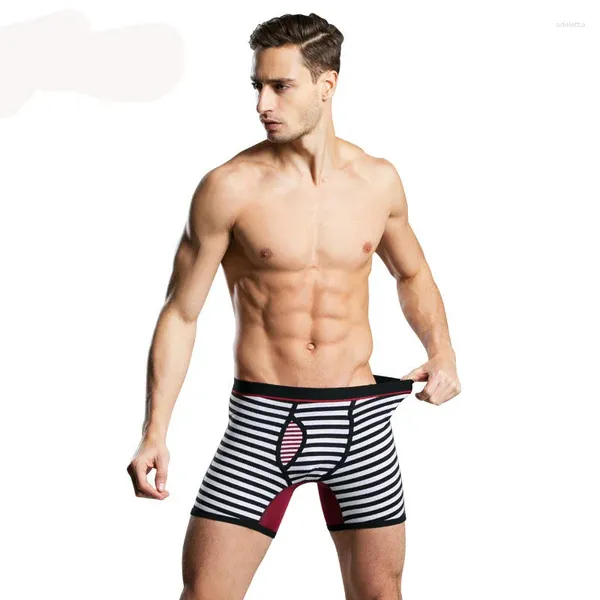 Sous-vêtements pour hommes Sous-vêtements masculins Extra longs Boxers Shorts Coton Stripe Cueca Boxer
