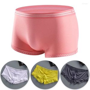 Sous-pants boxers transparents en maillage masculi