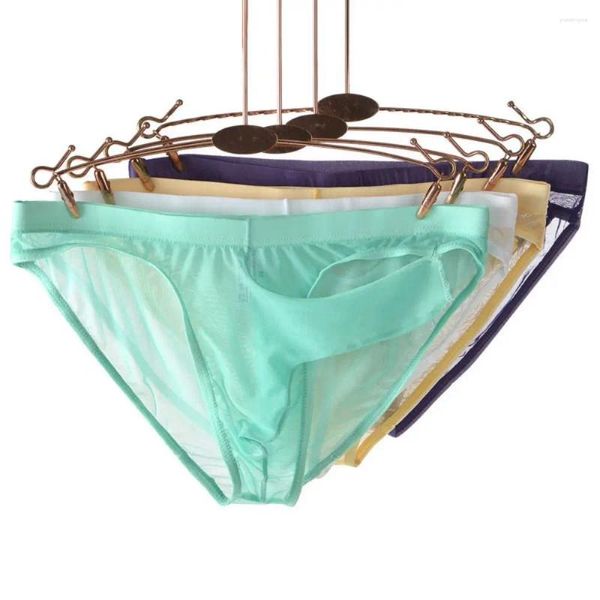 Calzoncillos de malla transparente para hombre, calzoncillos con nariz de elefante, ropa interior ultrafina, pantalones triangulares abiertos, bragas, lencería