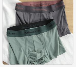 Onderbroeken Heren Modale Boxershorts Voor Jongeren U Bolle Zakje Ondergoed Ademend Spoorloos Antibacterieel Aro Broek Mid Rise Bottom Slipje