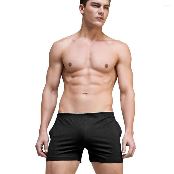 Caleçons Hommes Modal Shorts De Bain Confortable Sexy Maillot De Bain Plage À Séchage Rapide Troncs Hommes Maillots De Bain Conseil Respirant Surf Sous-Vêtements