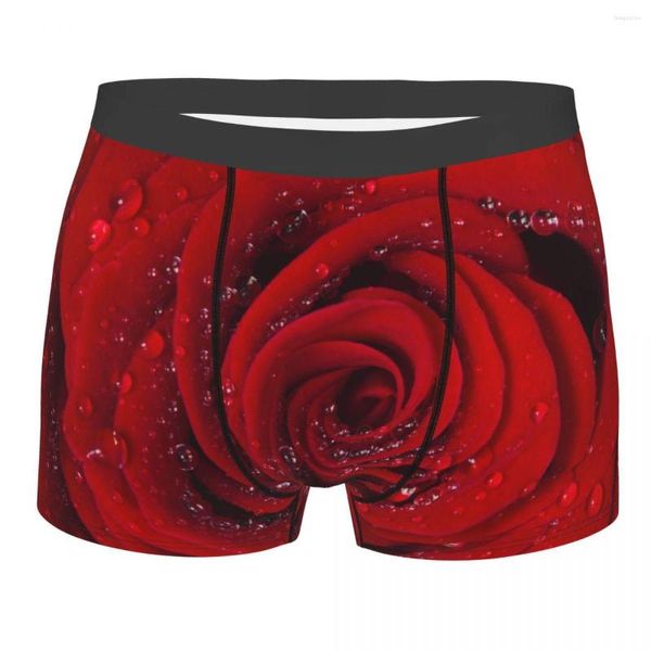 Calzoncillos Bragas para hombres Boxers Ropa interior Pétalos de rosa roja con gotas de lluvia Pantalones cortos masculinos sexy