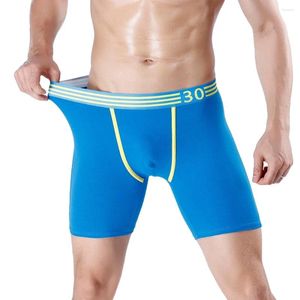 Onderbroek heren slipjes ondergoed ondergoed boksers shorts lange poot comfort mannen mannelijke hombre marca plus size l-4xl