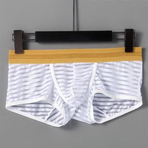 Onderbroek heren sexy boxers nylon doorzichtig ondergoed mesh shorts transparante boxer comfortabele onderkant slipje mannelijke lingerie272h