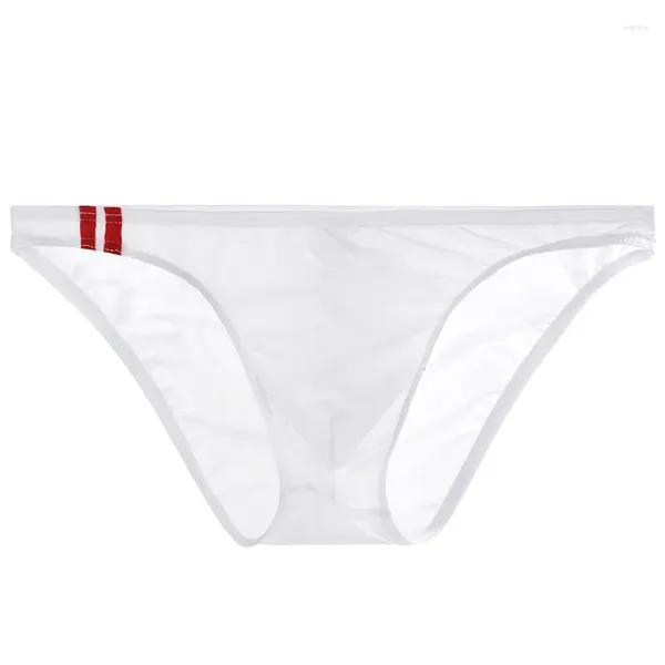 Sous-vêtements pour hommes sous-vêtements respirants sexy voir à travers des slips taille basse Lingeri T-Back G-String