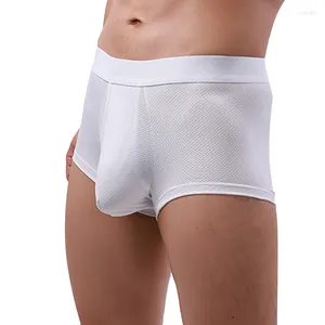 Sous-vêtements hommes sexy maille pure coton sous-vêtements antibactériens hommes côté poche ouverte boxeurs respirant confort boxer shorts lingerie