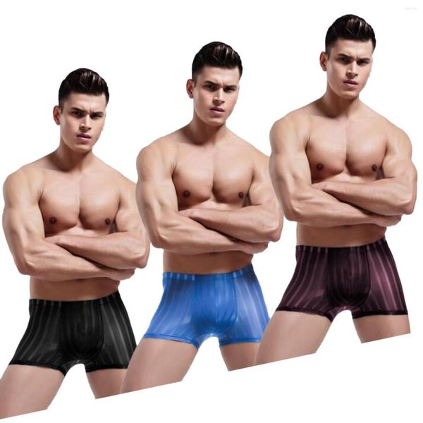 Caleçons hommes Sexy été mince Transparent respirant doux slips taille glace soie sous-vêtements sur course serré