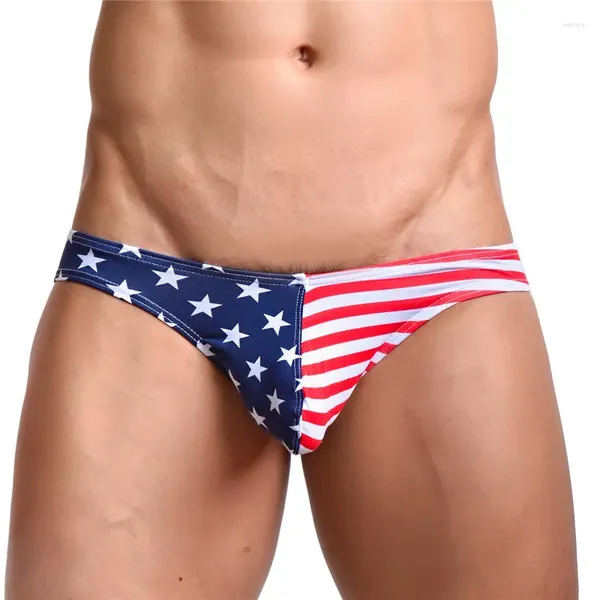 Sous-vêtements Sexy sous-vêtements pour hommes Bikini Cotton USA drapeau basse taille de pénis de la taille de la taille