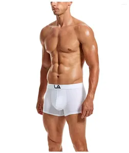 Sous-vêtements Sous-vêtements de sport pour hommes Pantalons à coins plats Boxer Coton Taille moyenne Couleur unie Colle goutte à goutte Grande taille