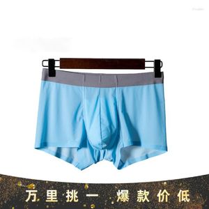 Caleçons pour hommes sous-vêtements respirants minces taille haute élastique 120S Boxers en soie glacée coton entrejambe doux confortable Boxer