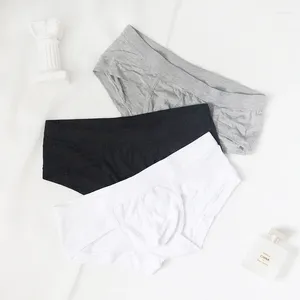 Sous-pants Triangle masculin sous-vêtements modal basse pantalon serré sexy pour garçons blancs sportif à la mode à la mode