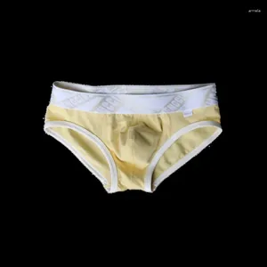 Sous-vêtements pour hommes en sous-vêtements pour les jeunes pour les jeunes Bref Pantal Pure coton Pure Basse Pauvre Gays Forfonds Doux