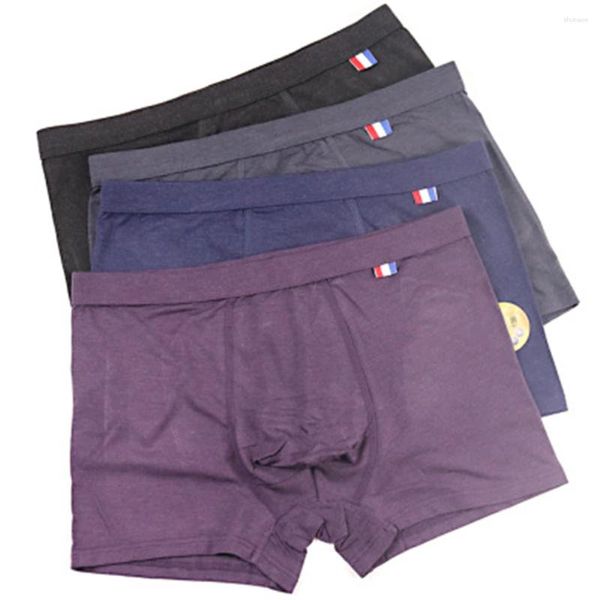 Sous--vêtements Men's Underwear Boxer Shorts Coton Corée Style Fall / Hiver MODERT T285