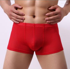 Sous-vêtements pour hommes Boxer Shorts Mesh Confortable Respirant Nylon U Convex Culotte Sexy