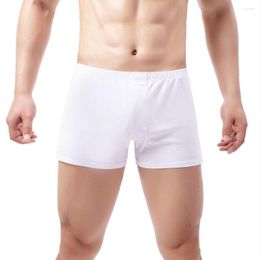 Sous-vêtements Sous-vêtements pour hommes Respirant Arlo Pantalon Boxer Shorts Coton Big Pouch Trunk Culotte