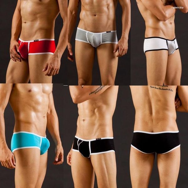 Sous-vêtements pour hommes, vente en gros d'usine, réseau WJ, slip Sexy, Section fine modale 3002SJ