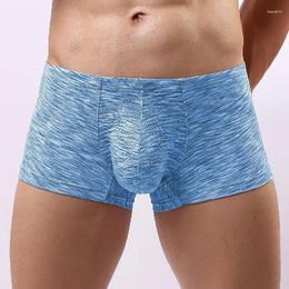 Onderbroeken Herenondergoed Mode Loszittende, ademende boxershorts Lage taille U-bolle Sport Casual Platte hoek