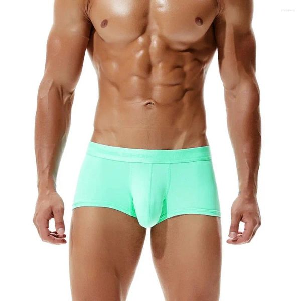 Calzoncillos Ropa interior para hombres Moda U Convexo Boxer Shorts Jockstrap Pantalones de esquina plana Cuatro troncos deportivos