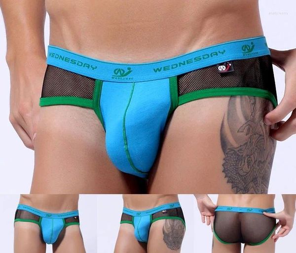 Sous-vêtements Sous-vêtements pour hommes Site Web de l'usine de commerce extérieur WJ Sept couleurs Pantalons hebdomadaires Respirant Coton Mesh Triangle 1008SJ