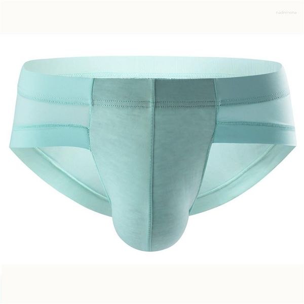 Caleçons sous-vêtements pour hommes slips soyeux de glace culottes Sexy hommes hommes Super doux slip soie pénis poche Jockstrap