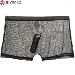 Sous--vêtements Men's Underwear Man Boxer Summer Gauze Mesh respirant Sexy Elephant Nose Pouche Shorts Knickers Voir à travers la culotte masculine