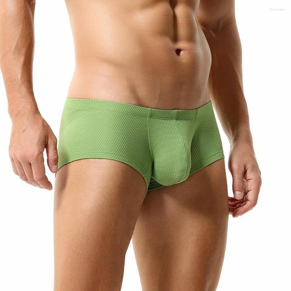 Caleçon homme sous-vêtements maille respirant homme culotte solide Boxer hommes U poche convexe Sexy taille basse Shorts