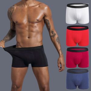 Calzoncillos ropa interior para hombre, calzoncillos tipo bóxer de algodón más grandes para hombre, pantalones cortos deportivos, tela antibacteriana, cómoda y transpirable