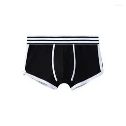 Sous-vêtements Men's Underwear Pure Coton Boxer Shorts confortables et respirants sports de couleur unie