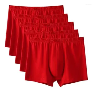 Sous-vêtements sous-vêtements pour hommes pur coton pantalon plat tête shorts quatre coins Benmingnian grand mariage rouge gros gars