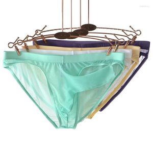 Caleçons sous-vêtements pour hommes Ultra-mince maille transparente slips éléphant poche séparation respirant Gay mâle Lingerie