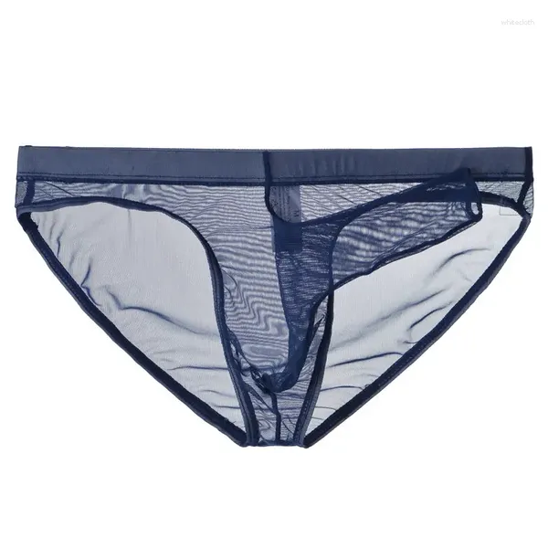 Sous-vêtements pour hommes sous-vêtements en maille ultra-mince slips transparents séparation de poche d'éléphant respirant hommes lingerie gay
