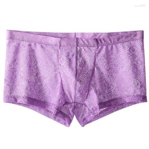 Onderbroek Mannen Doorzichtige Boxer Slips Gay Transparante Slipje Ademend Zachte Sissy Sheer Lace Ondergoed Trunks