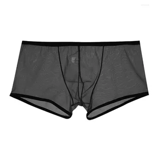 Onderbroek Mannen See Through Boxer Zomer Ademende Slips Shorts Ultra Dunne Sheer Ondergoed Slipje Mesh Laagbouw Bugle Pouch A5