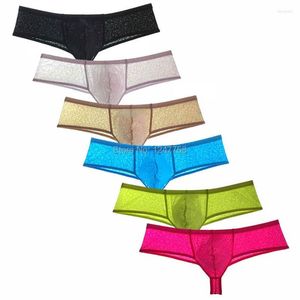 Sous-vêtements hommes semi-transparents sous-vêtements masculins pochette confortable boxer bokserki bikini brésilien troncs shorts sexy