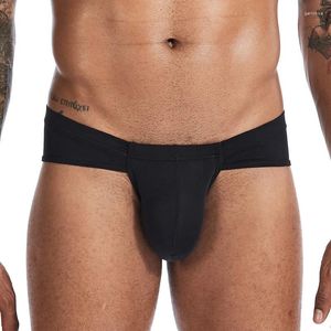 Sous-vêtements hommes Sexy grande poche Scrotum slips couleur unie mince taille basse culotte élastique respirant confortable sous-vêtements doux