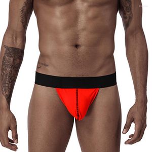 Caleçons Hommes Sexy Slips Hommes Sous-Vêtements Jockstrap Pouch Cuecas Homme Coton Culottes Strings Bikini Gay Slip Homme