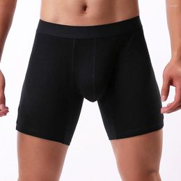 Boxers en coton pour hommes, sous-vêtements sexy, longues jambes, respectueux de la peau, longs, sport de natation, sans couture, slips fins, culottes élastiques