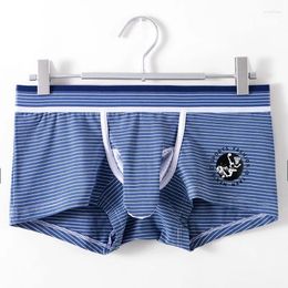 Onderbroeken Mannen Sexy Olifant Neus Trunks Streep Gedrukt Ondergoed Slips Ademend Sport Scheiding Boxer Knickers