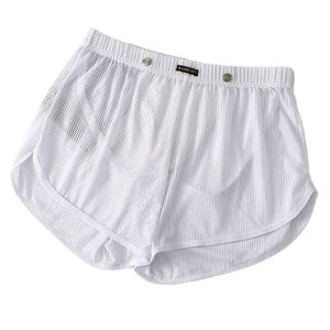 Onderbroek mannen sexy lingerie -briefs seethrough mesh lounge boxers shorts middelste taille ondergoed multipors s xl maten q240529