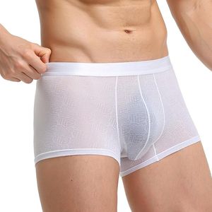 Caleçon Hommes Sexy Nylon Sans Couture Boxer Shorts Pénis Bulge Pouch Mâle Respirant Sous-Vêtements Culotte Mince Jacquard Mode CuecaUnderpants